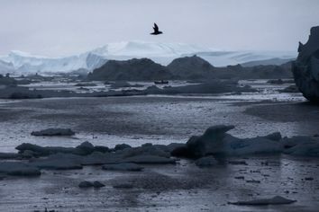 Arctic Report Card