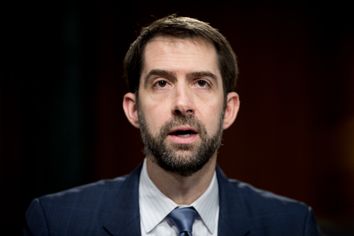 Tom Cotton