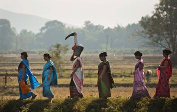 India Saving Storks