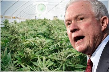 Jeff Sessions