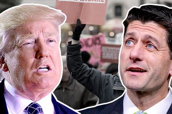 Donald Trump; Paul Ryan