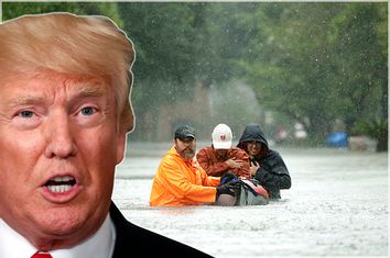 Donald Trump; Harvey