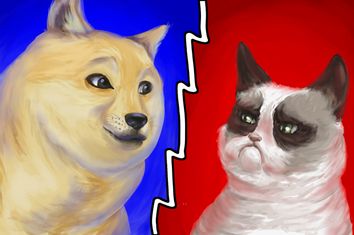 Shibe; Grumpy Cat; Meme