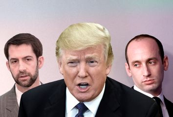 Tom Cotton; Donald Trump; Stephen Miller