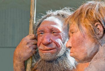 Neanderthal