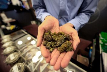 As more red states legalize marijuana, some officials try to nip it in the  bud