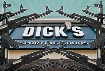 Dicks Rifle Sales