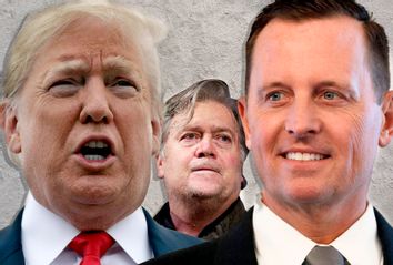 Donald Trump: Steve Bannon; Richard Grenell