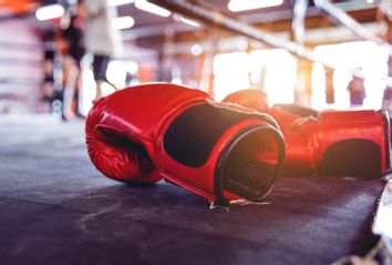 Boxing Gloves
