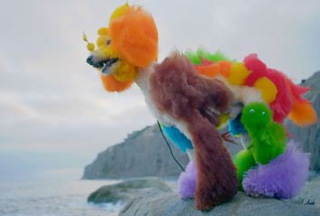 Kobe, Cat Opson’s poodle, stands on the beach in California