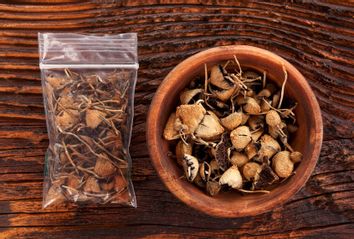 Psilocybin mushrooms