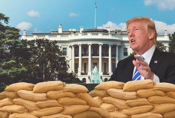 Donald Trump; White House