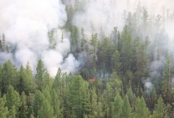 Russia Forest Fires