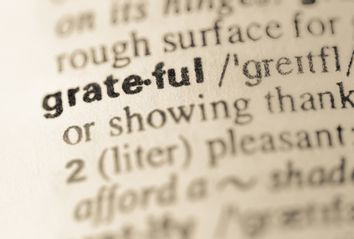 Dictionary definition of word grateful