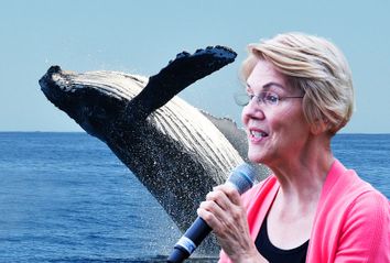 Elizabeth Warren