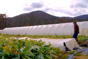 Evan Chender on his North Carolina farm