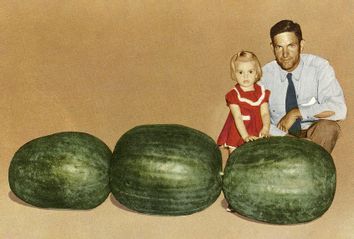 Giant Watermelon