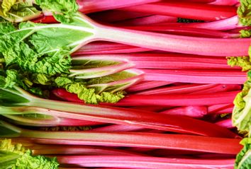 Rhubarb