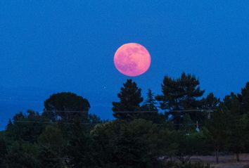Strawberry Moon