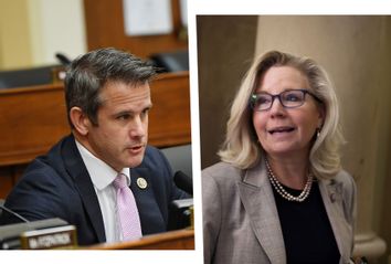 Adam Kinzinger; Liz Cheney