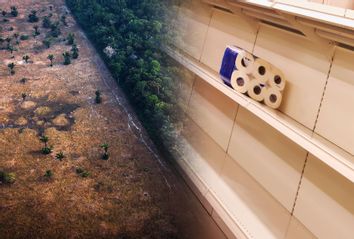 Deforestation; Bare store shelves