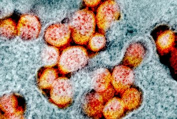 Coronavirus