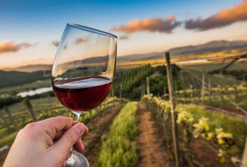 Kingston Family Vineyard at Sunset with a glass of our Pinot Noir