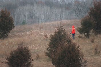 A hunter stands motionless as he waits for a deer to come into shooting range.
