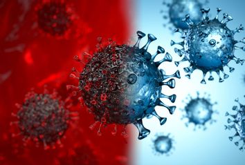 Virus Spores