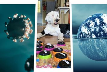 COVID-19 new lambda variant; Bunny the talking Dog; Rising sea levels