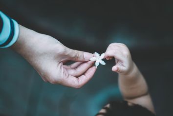 Close-Up Of Hand Giving Child A Flower