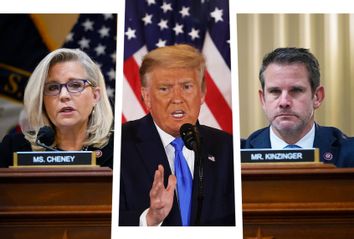 Liz Cheney; Donald Trump; Adam Kinzinger