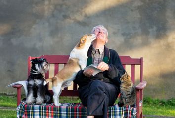 Senior man with dogs and cat on his lap on bench