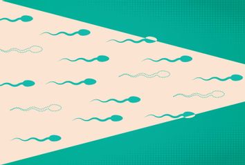 Lowering Sperm Count