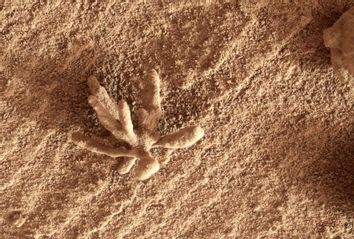 Martian 