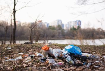 A lot of garbage in the forest on the background of modern high-rise buildings