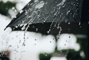 Raindrops On Umbrella