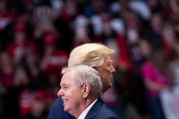 Lindsey Graham; Donald Trump