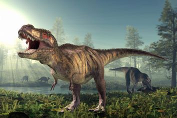 Tyrannosaurus rex dinosaur