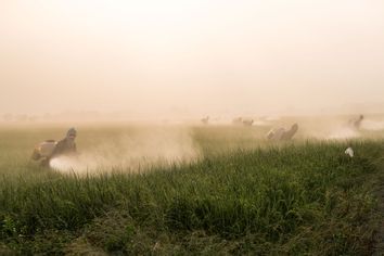 Farmers spraying pesticide on a field