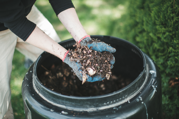 compost; garden; dirt