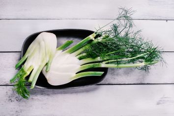 Fresh fennel on white, wooden background