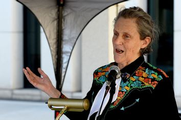 Temple Grandin