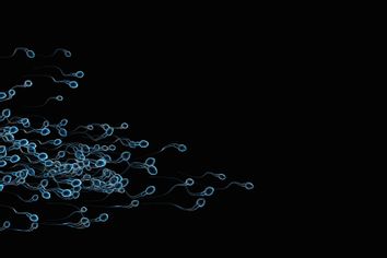 Sperm swimming