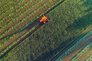 Agricultural harvesting at the last light of day, aerial view