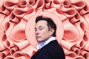 Elon Musk; bologna face