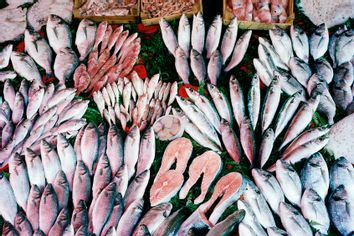 Display of fresh fish at a fish market