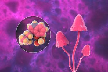 Magic mushrooms and psilocybin molecule