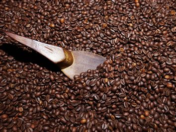 Roasted Coffee Arabica Beans