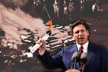 Ron DeSantis; Book Burning